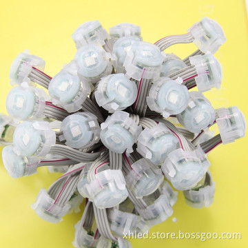 BLUE 0.3W DC12V 5050 20mm Waterproof IP67 SMD LED Pixel Light